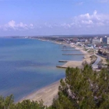 Сосны на отдыхе в Крыму в Песчаном: фото